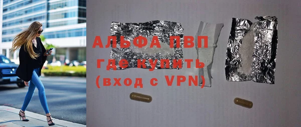хмурый Дмитров
