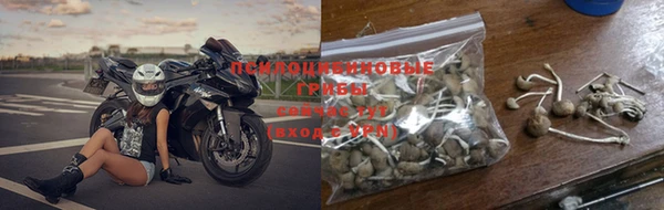 прущая мука Дмитриев