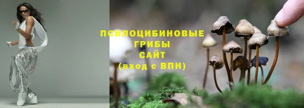 марихуана Дмитровск