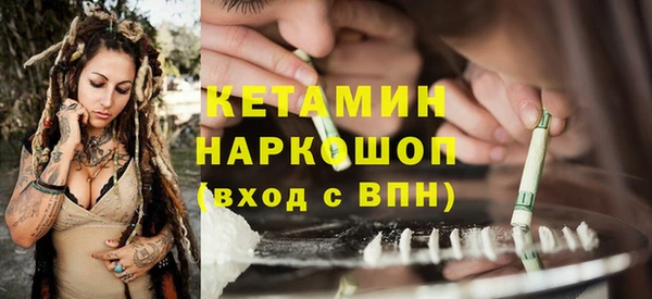 хмурый Дмитров