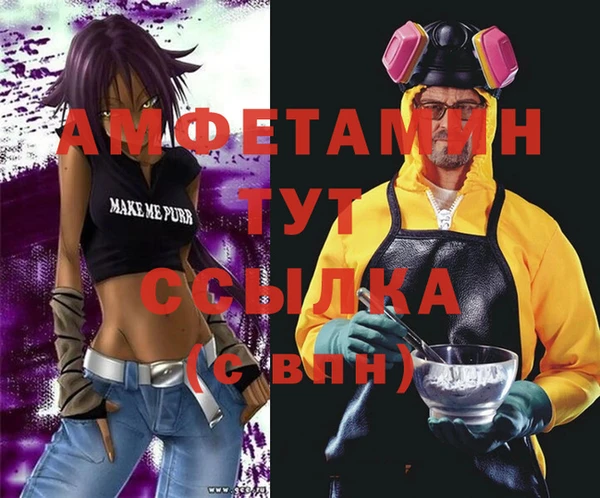 сатива Елизово