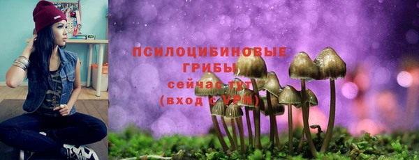 марихуана Дмитровск