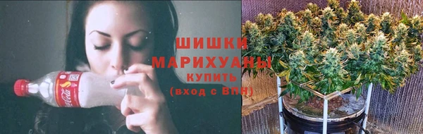хмурый Дмитров