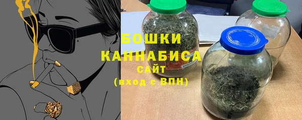 хмурый Дмитров